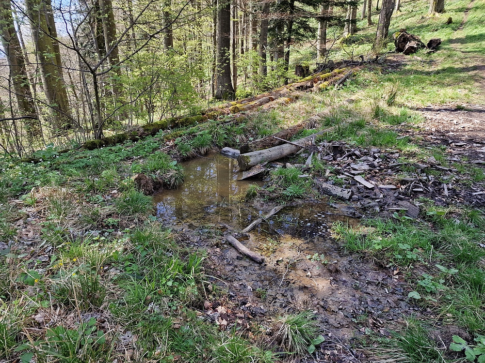Slika je vidna v Google Chromu.