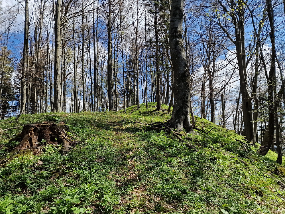 Slika je vidna v Google Chromu.