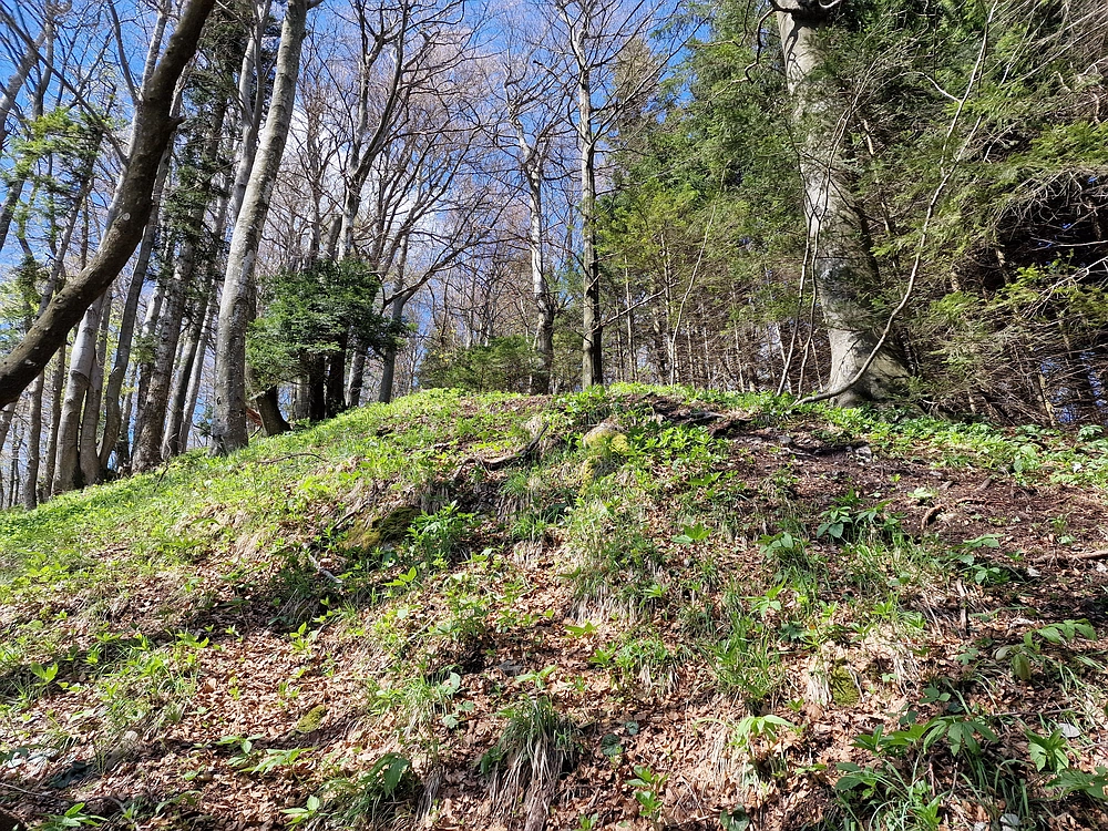 Slika je vidna v Google Chromu.