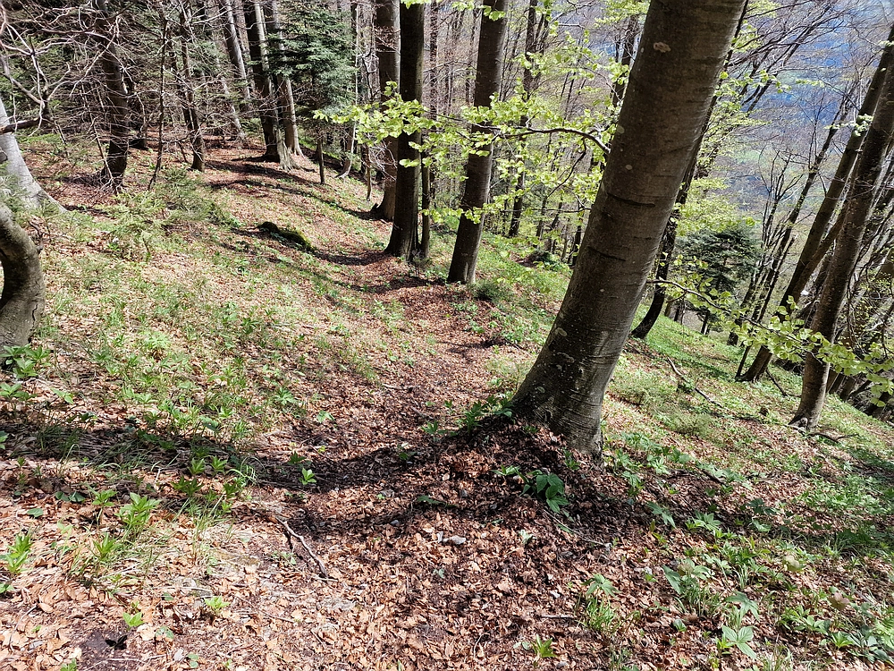 Slika je vidna v Google Chromu.