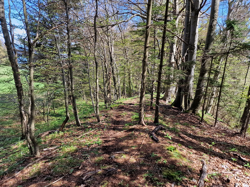 Slika je vidna v Google Chromu.