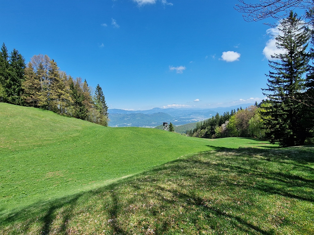 Slika je vidna v Google Chromu.