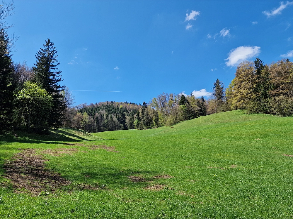 Slika je vidna v Google Chromu.
