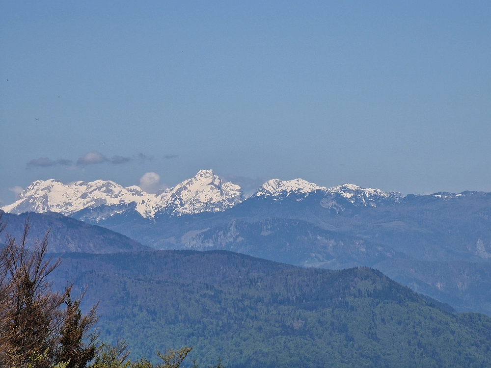 Slika je vidna v Google Chromu.