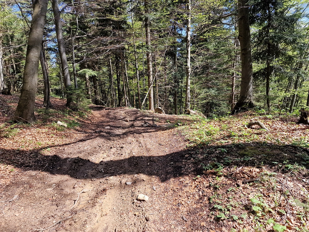 Slika je vidna v Google Chromu.