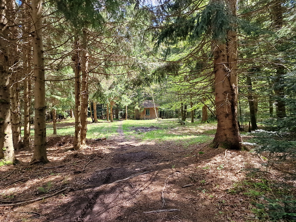 Slika je vidna v Google Chromu.