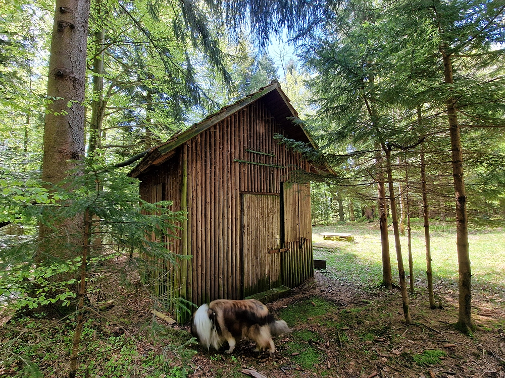 Slika je vidna v Google Chromu.