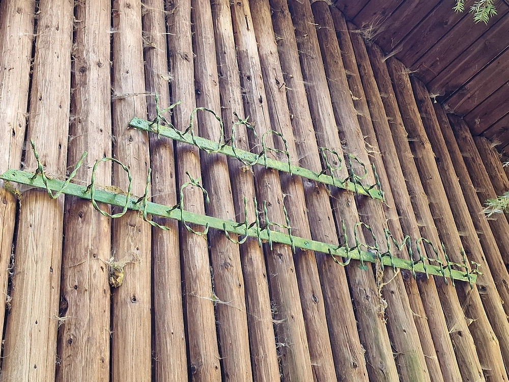 Slika je vidna v Google Chromu.