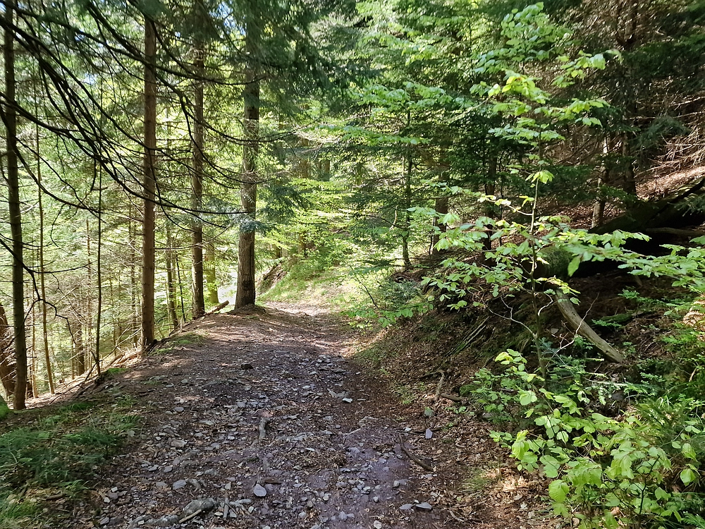 Slika je vidna v Google Chromu.