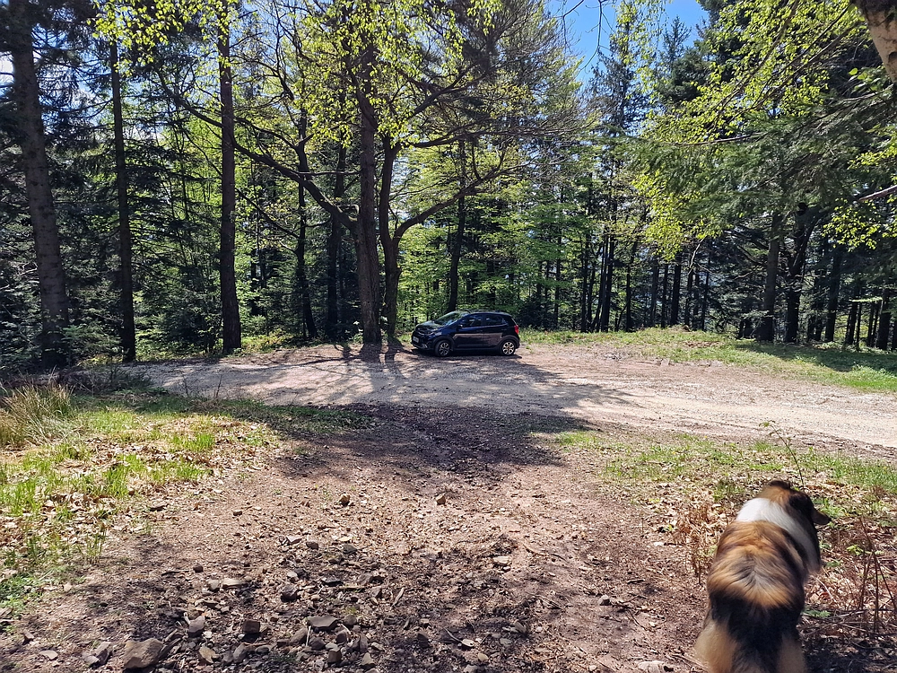 Slika je vidna v Google Chromu.