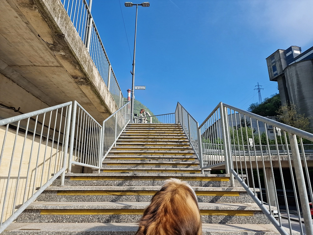 Slika je vidna v Google Chromu.