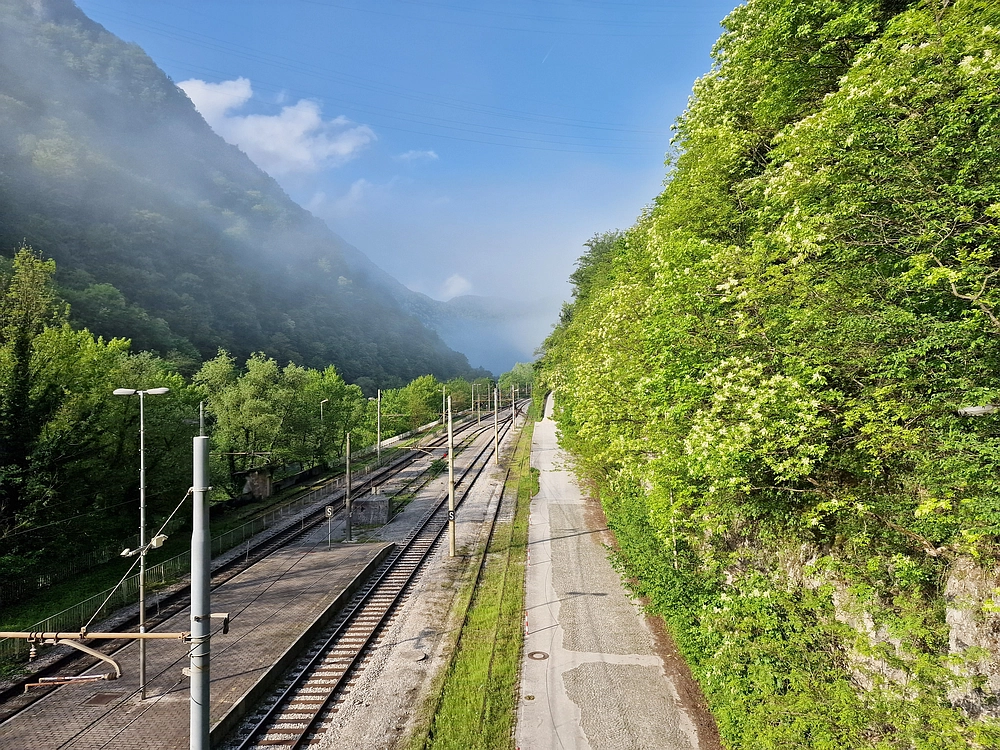 Slika je vidna v Google Chromu.