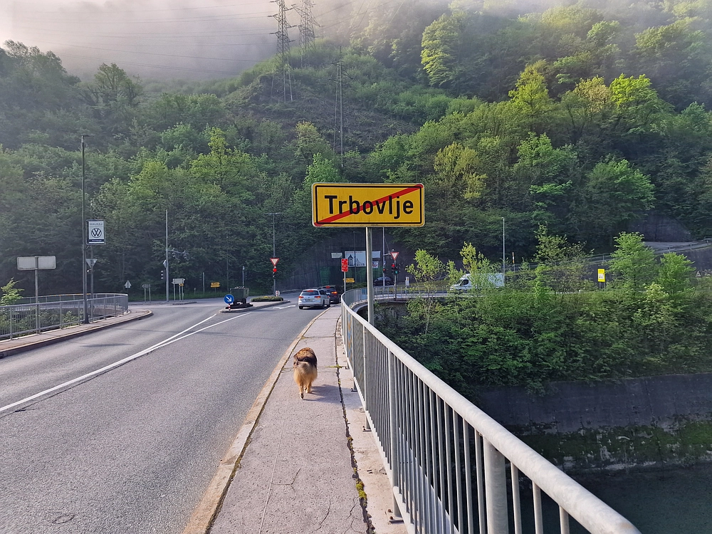 Slika je vidna v Google Chromu.