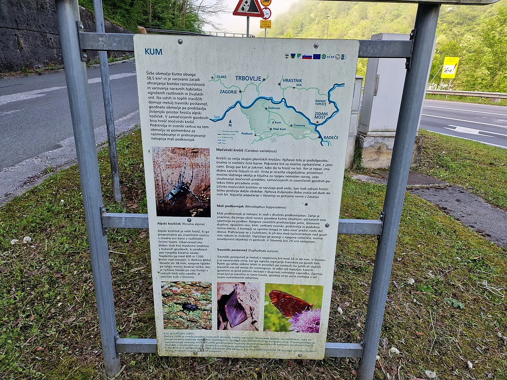 Slika je vidna v Google Chromu.