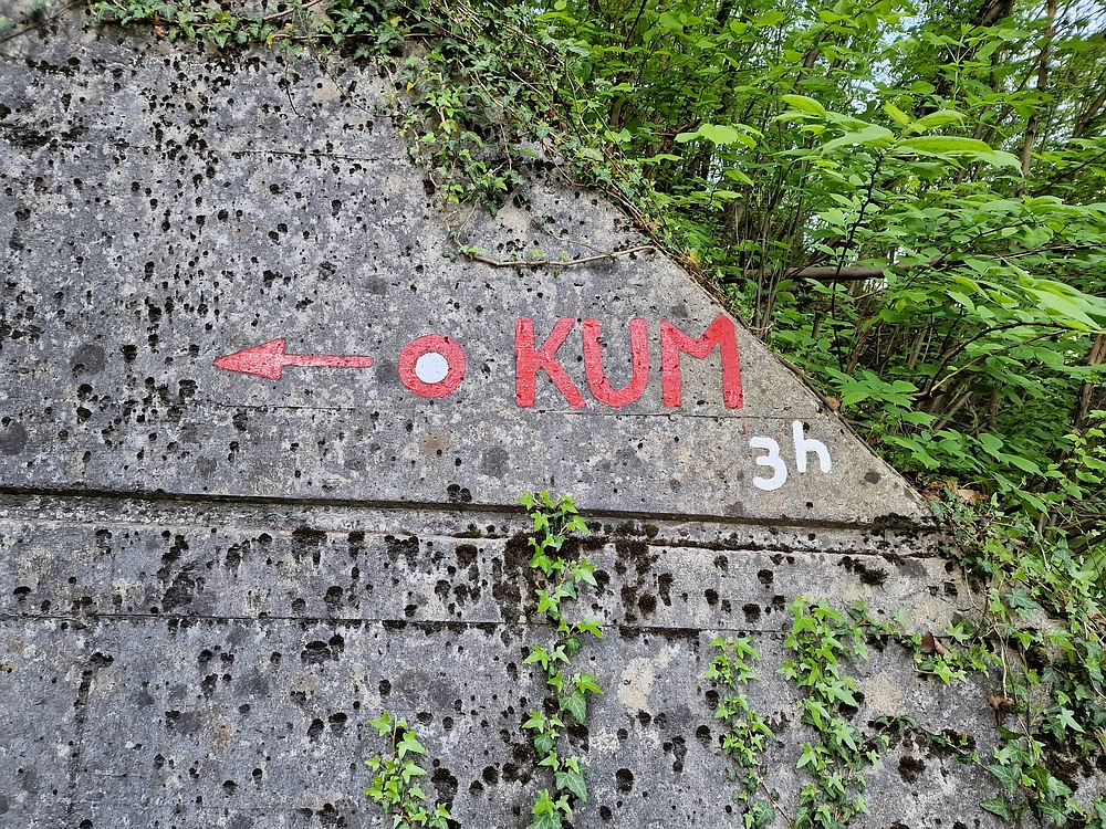 Slika je vidna v Google Chromu.