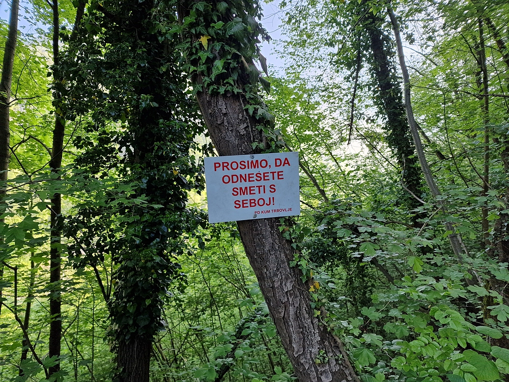 Slika je vidna v Google Chromu.