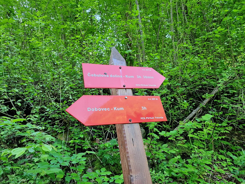 Slika je vidna v Google Chromu.