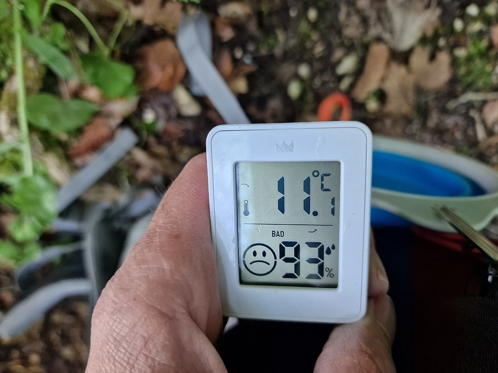 Slika je vidna v Google Chromu.