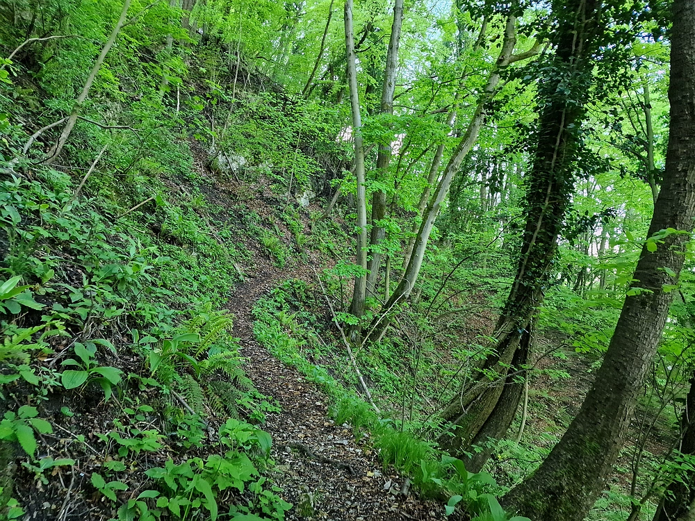 Slika je vidna v Google Chromu.