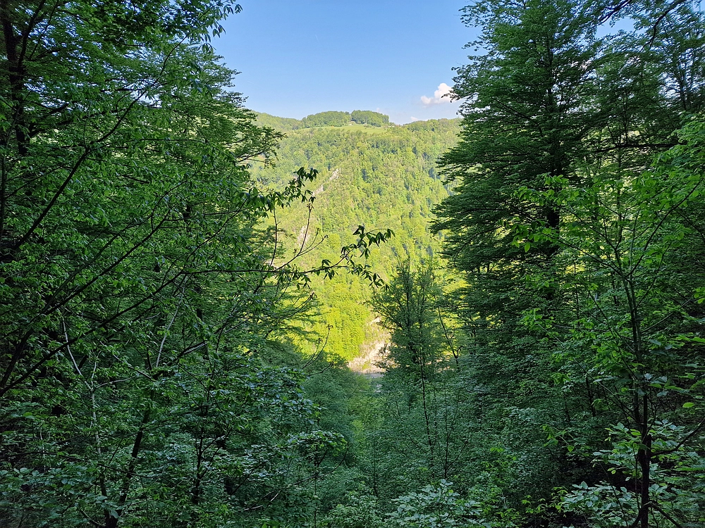 Slika je vidna v Google Chromu.