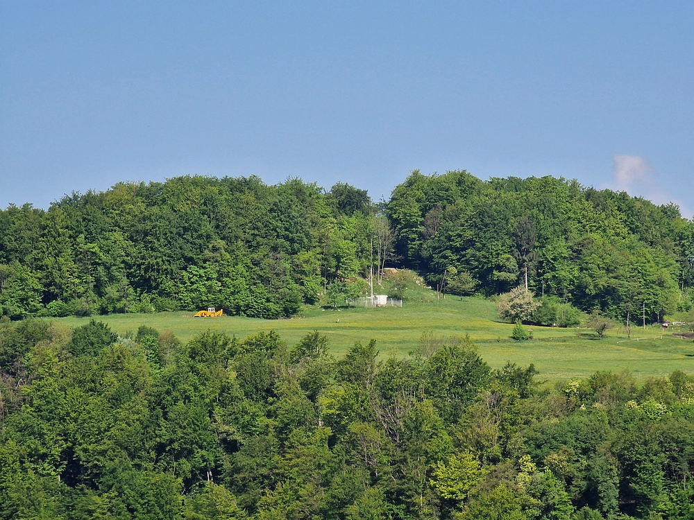 Slika je vidna v Google Chromu.