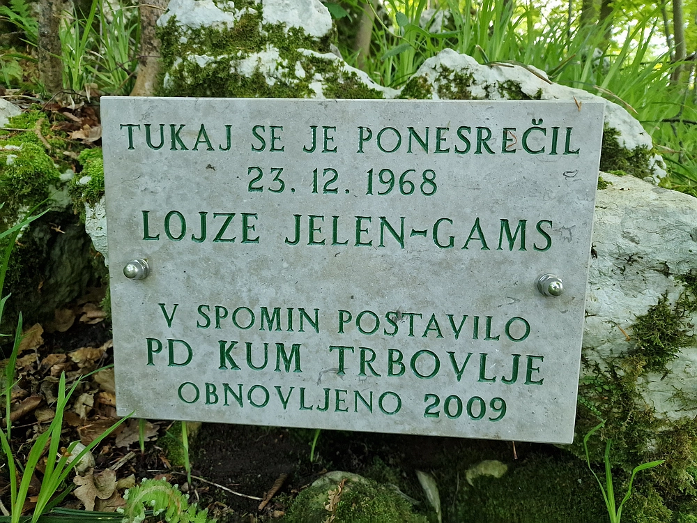 Slika je vidna v Google Chromu.