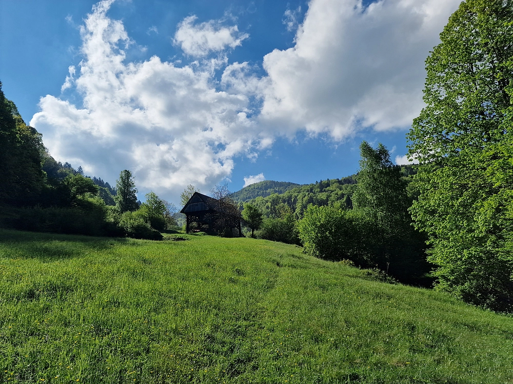 Slika je vidna v Google Chromu.