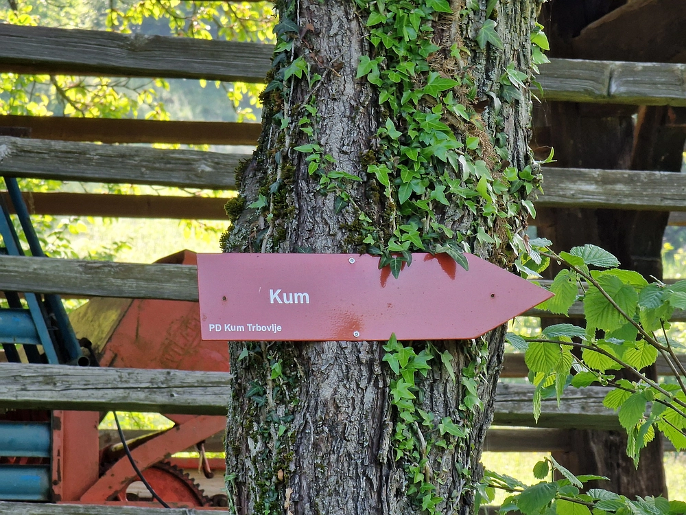 Slika je vidna v Google Chromu.