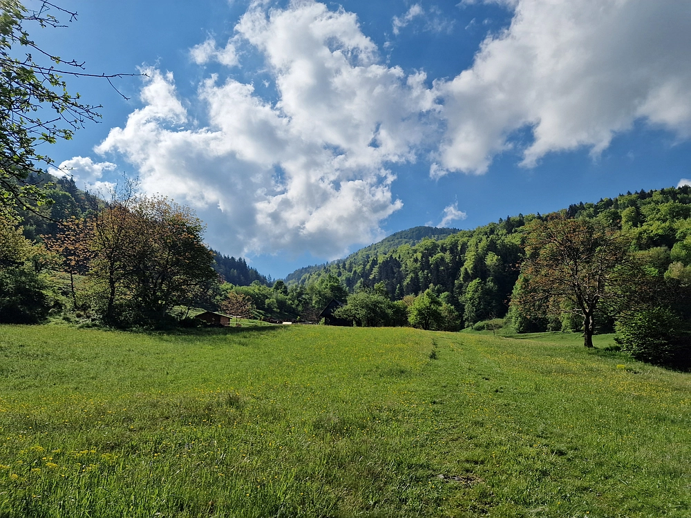 Slika je vidna v Google Chromu.