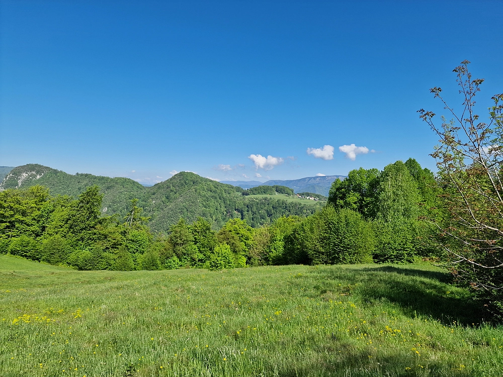 Slika je vidna v Google Chromu.