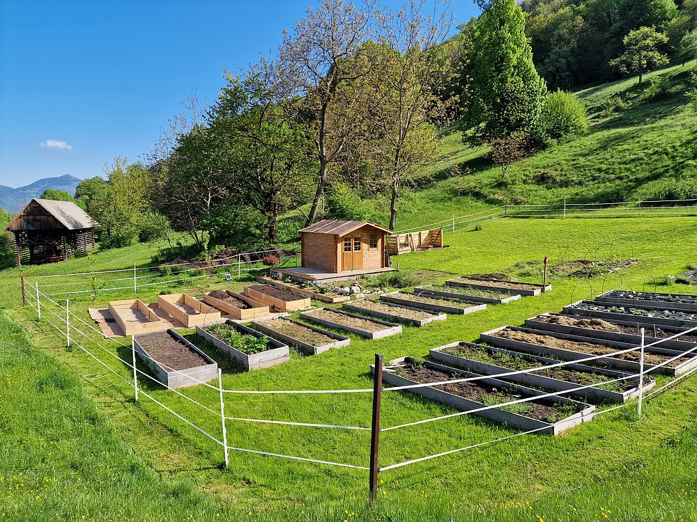 Slika je vidna v Google Chromu.