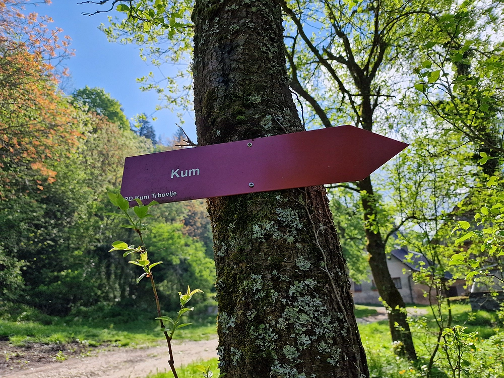 Slika je vidna v Google Chromu.