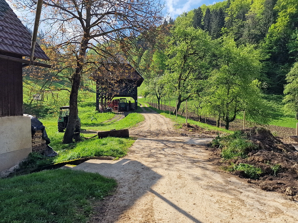 Slika je vidna v Google Chromu.