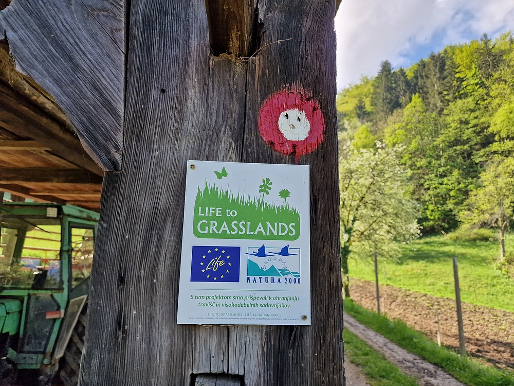 Slika je vidna v Google Chromu.