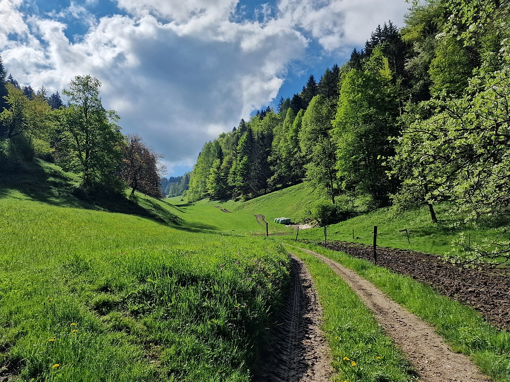 Slika je vidna v Google Chromu.