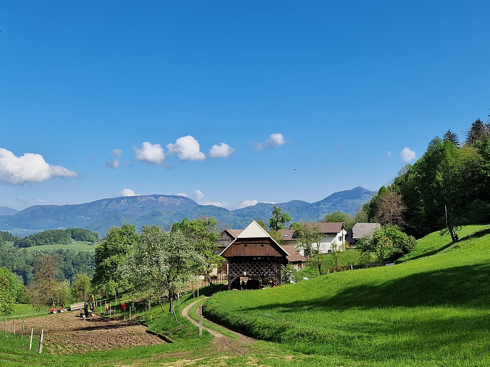 Slika je vidna v Google Chromu.