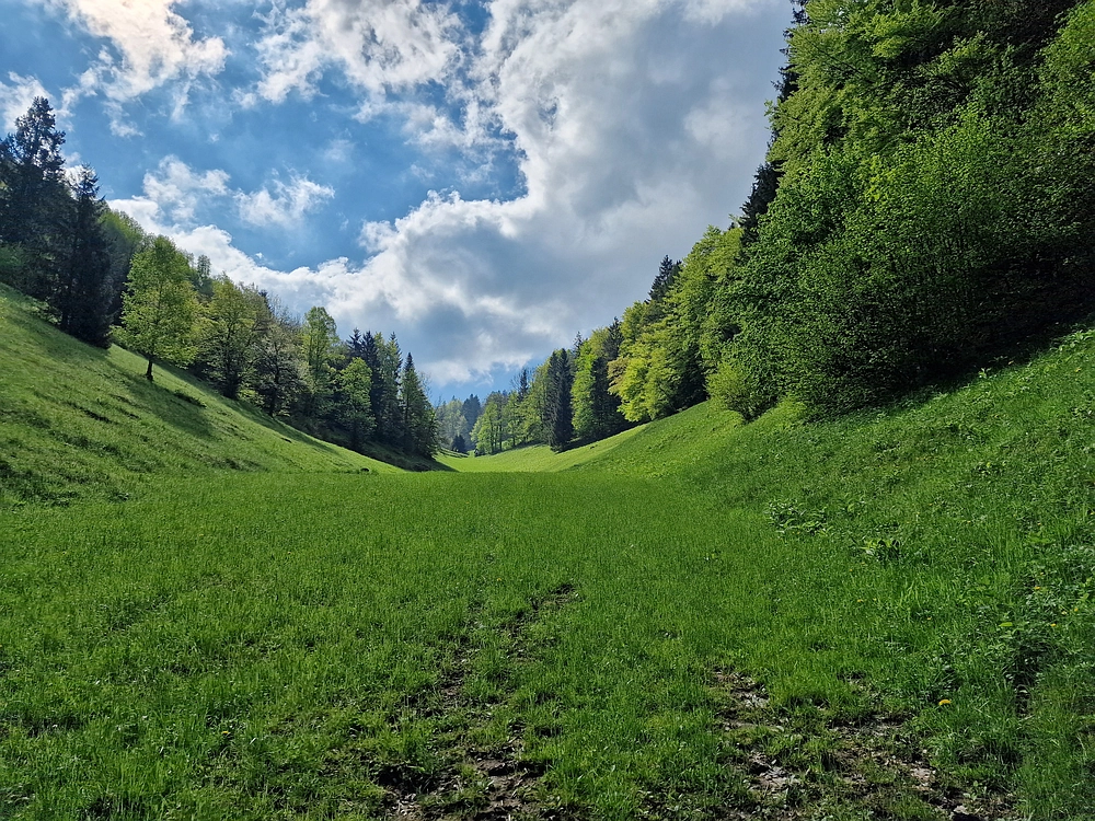 Slika je vidna v Google Chromu.