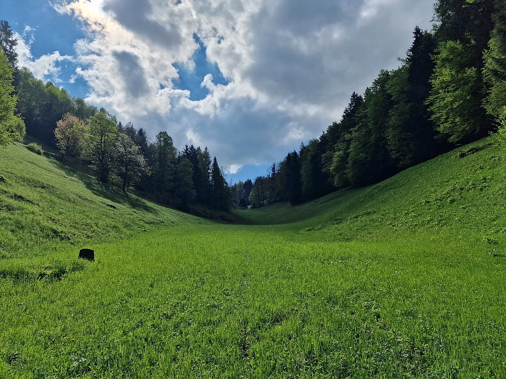 Slika je vidna v Google Chromu.