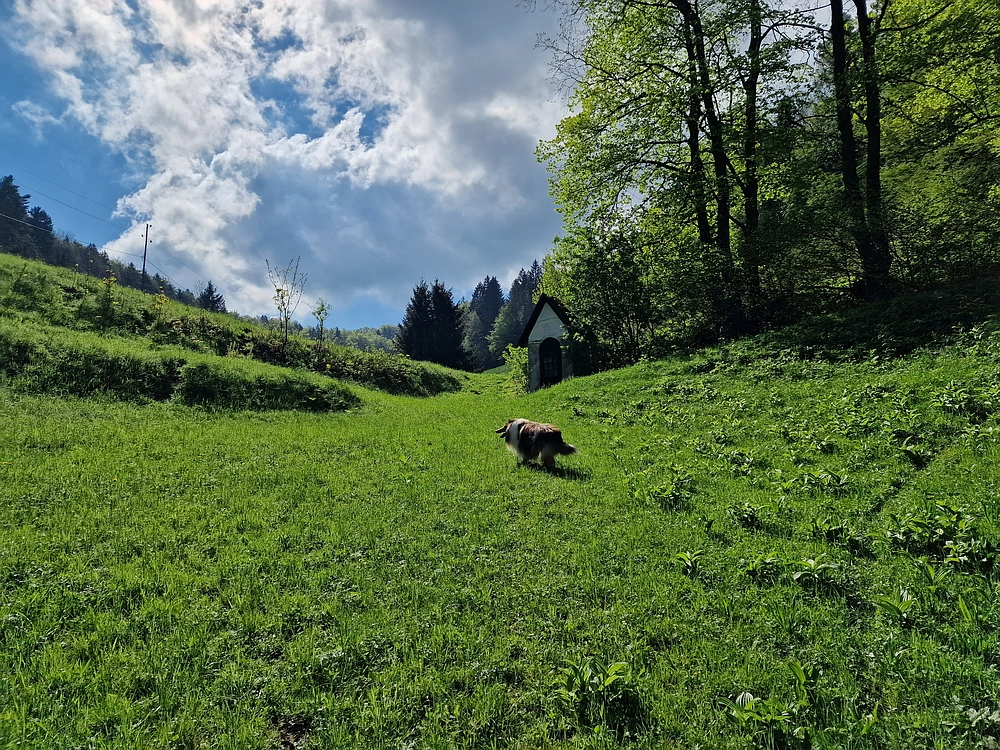 Slika je vidna v Google Chromu.