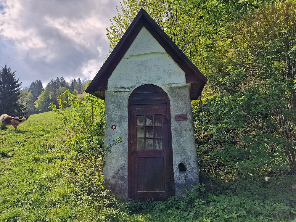 Slika je vidna v Google Chromu.