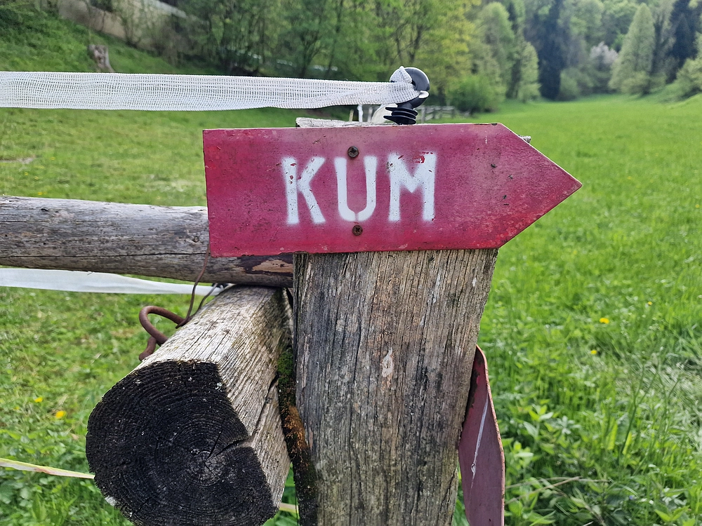 Slika je vidna v Google Chromu.