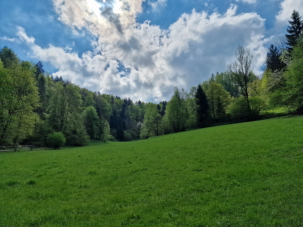 Slika je vidna v Google Chromu.