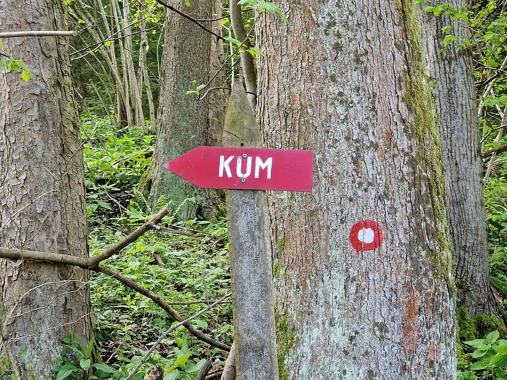 Slika je vidna v Google Chromu.