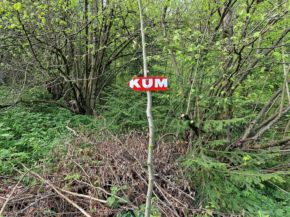 Slika je vidna v Google Chromu.