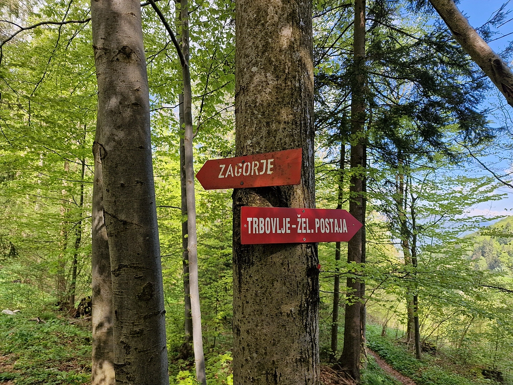 Slika je vidna v Google Chromu.