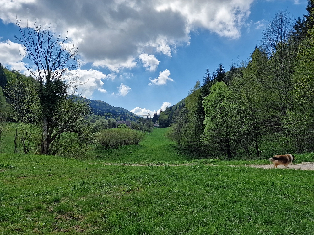 Slika je vidna v Google Chromu.
