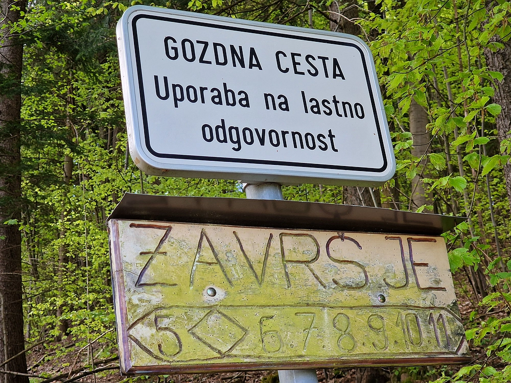 Slika je vidna v Google Chromu.