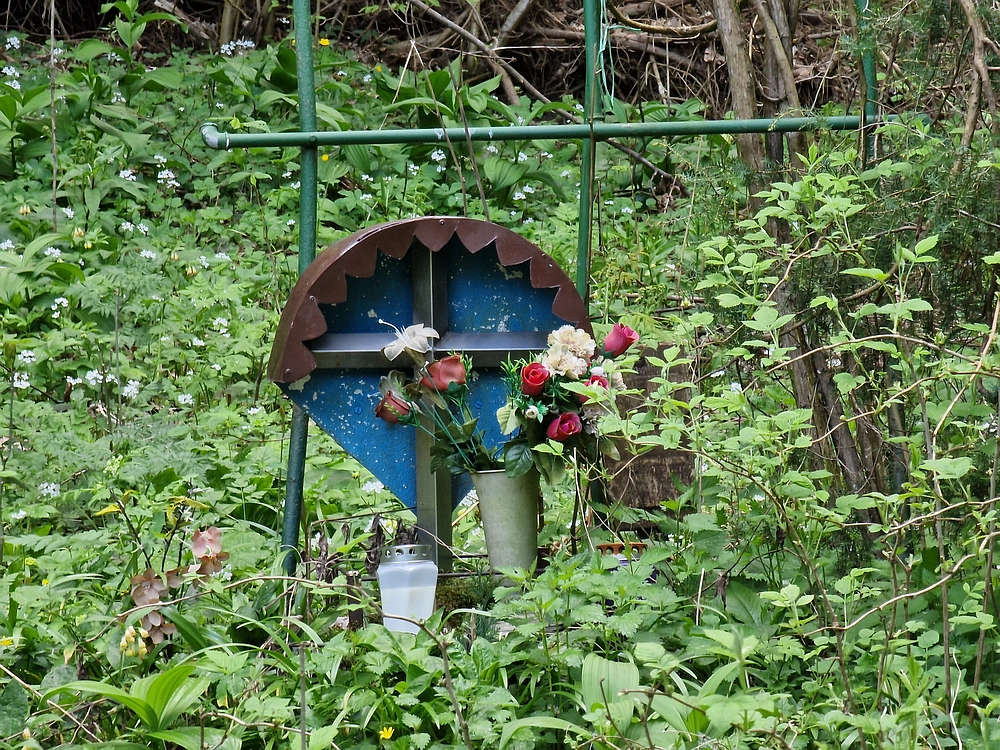 Slika je vidna v Google Chromu.