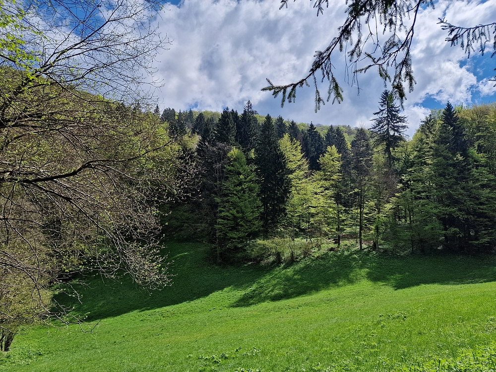 Slika je vidna v Google Chromu.