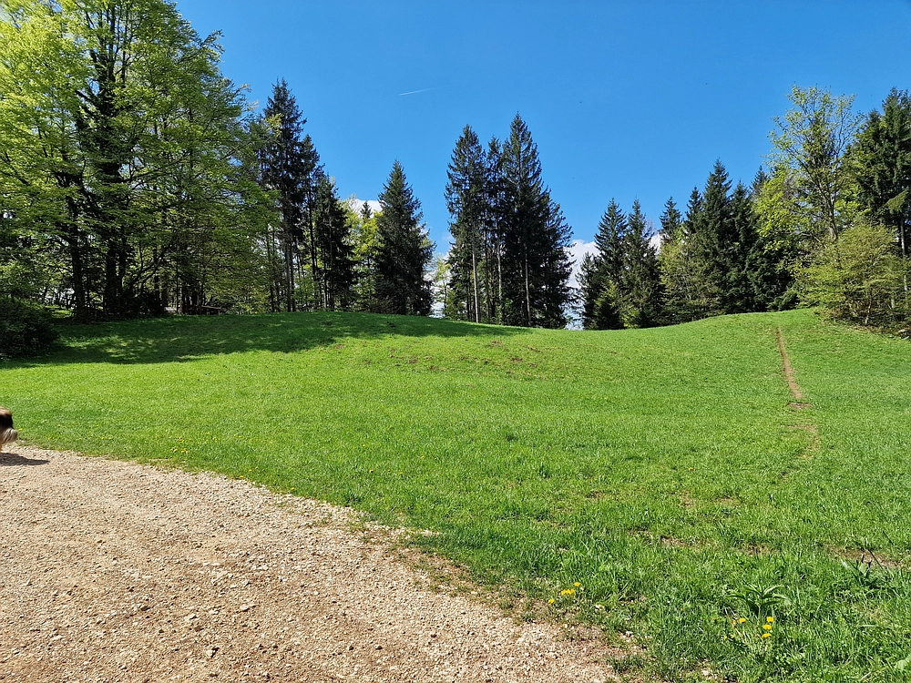 Slika je vidna v Google Chromu.